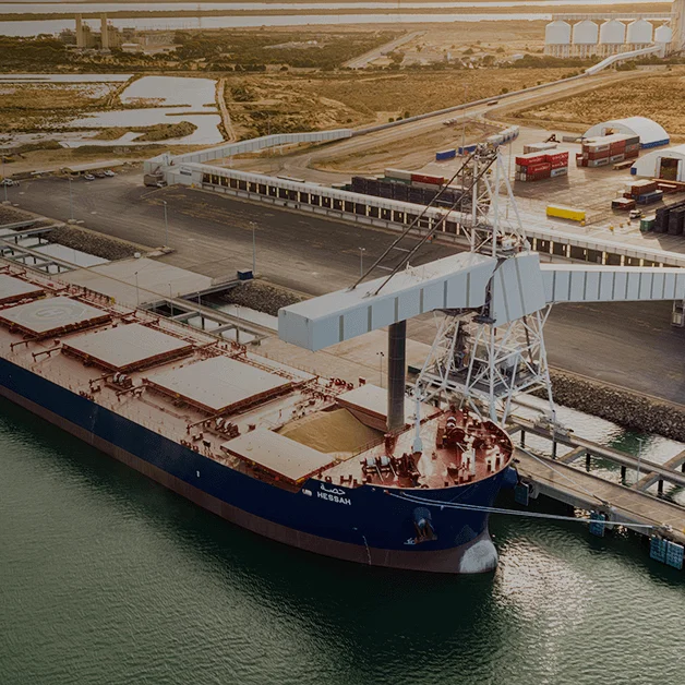 Container ship in the harbour